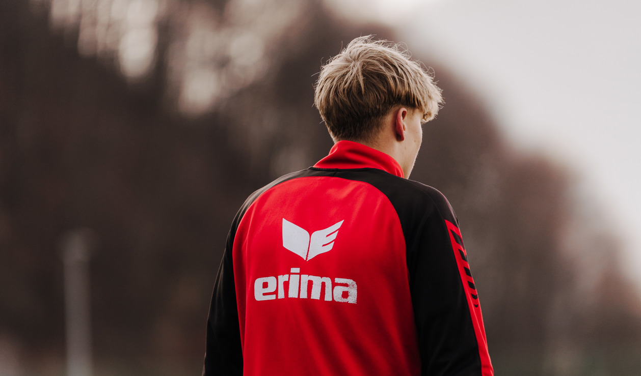 Falken fliegen ins Frühjahr